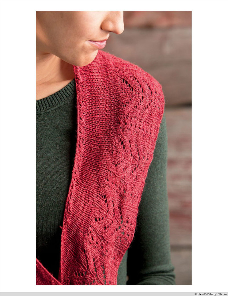 3 Skeins or Less - Fresh Knitted Accessories 節選披肩 - 紫蘇 - 紫蘇的博客