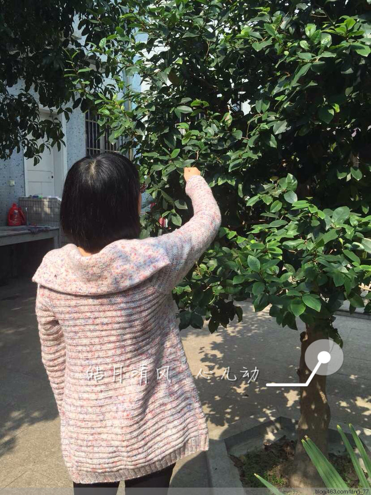 蘭心群第三、四期群友作業匯集~~（蘭心蕙質2015) - 蘭心蕙質 - 蘭心蕙質藍云海