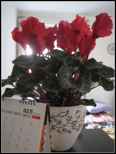 花花世界，2012的春天給花草留影 - 衣染香 - 若蘭軒