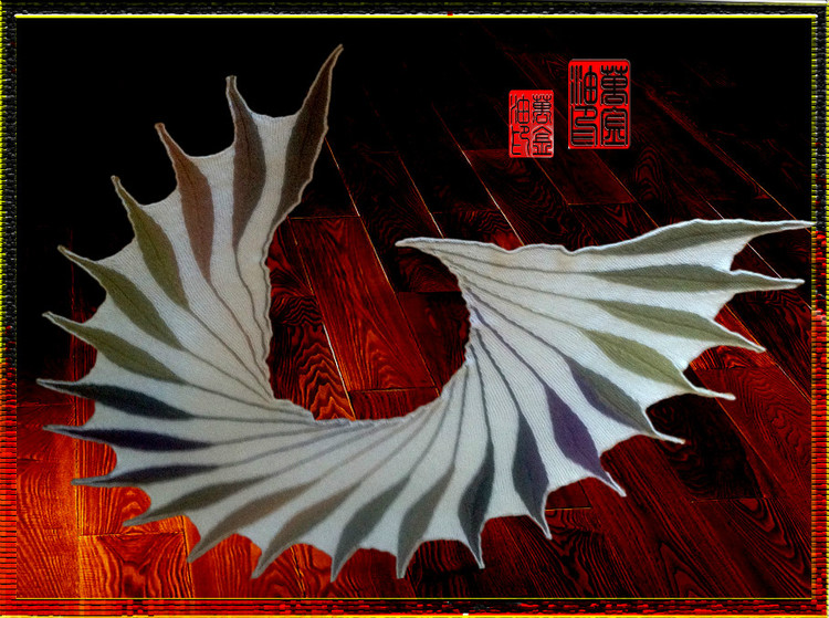 夢幻般的羽毛披肩 - 翀 - 翀的博客