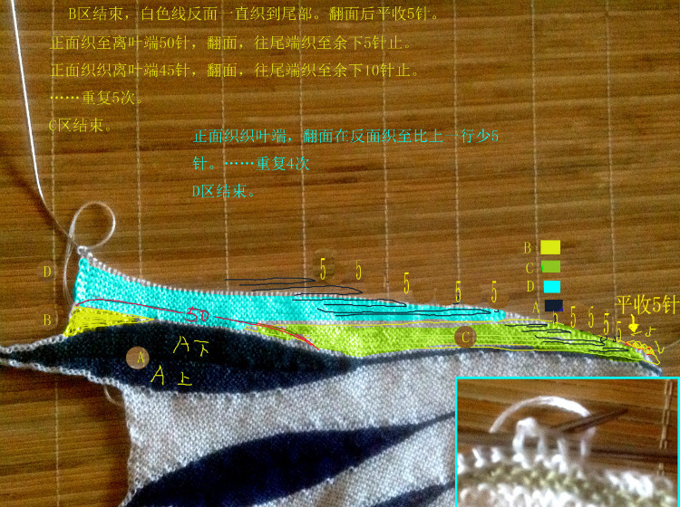 夢幻般的羽毛披肩 - 翀 - 翀的博客