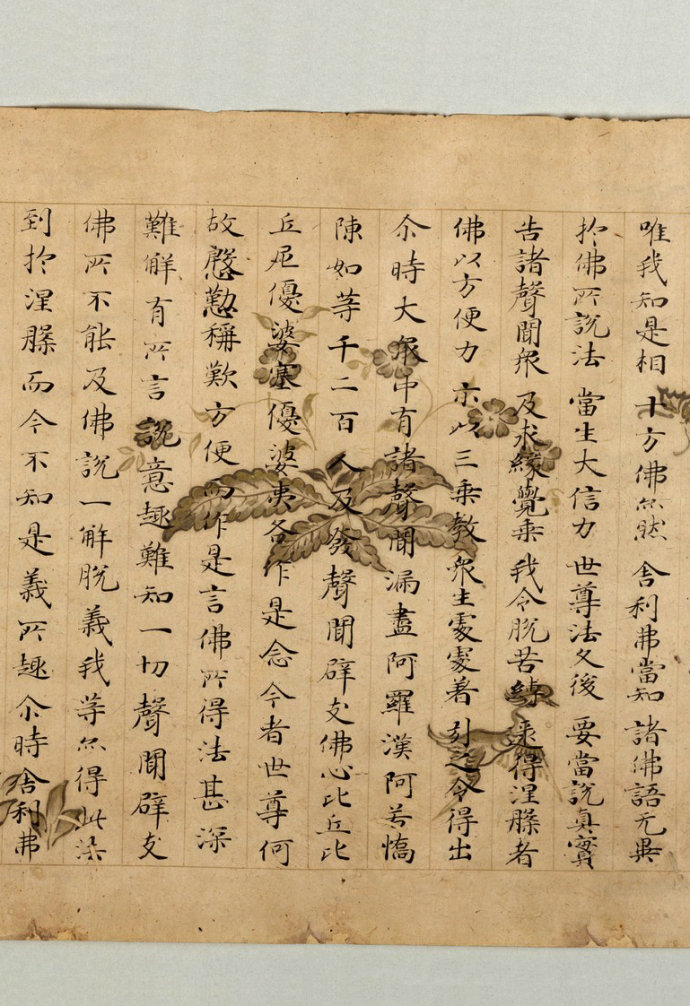 妙法蓮華經(jīng)方便品 - 此情此景 - 此情此景