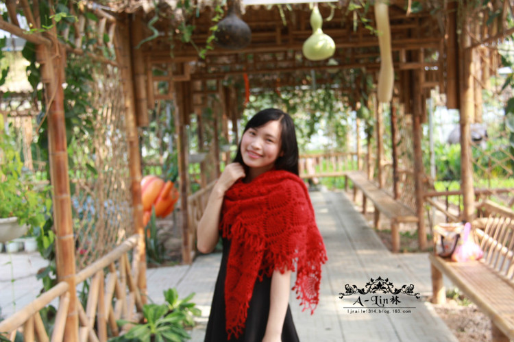 【A-Lin林】紅妝--經典菠蘿花披肩201520 - A-Lin林 - A-Lin的手工博客